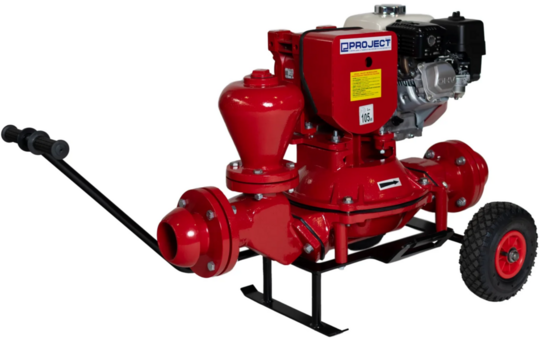 Diaphragm slurry pump Project PSP-250 Basic
