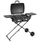 Charcoal, garden grill Velio VAYU