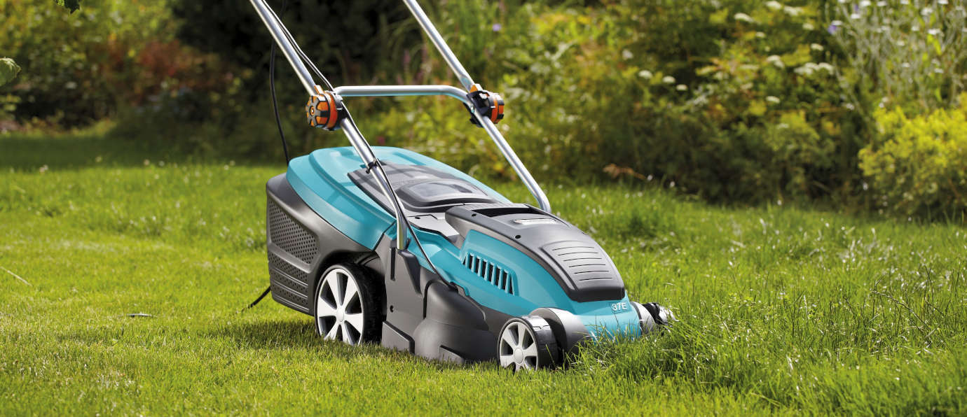 Mowing the grass: which mower should you choose? Gardener's guide