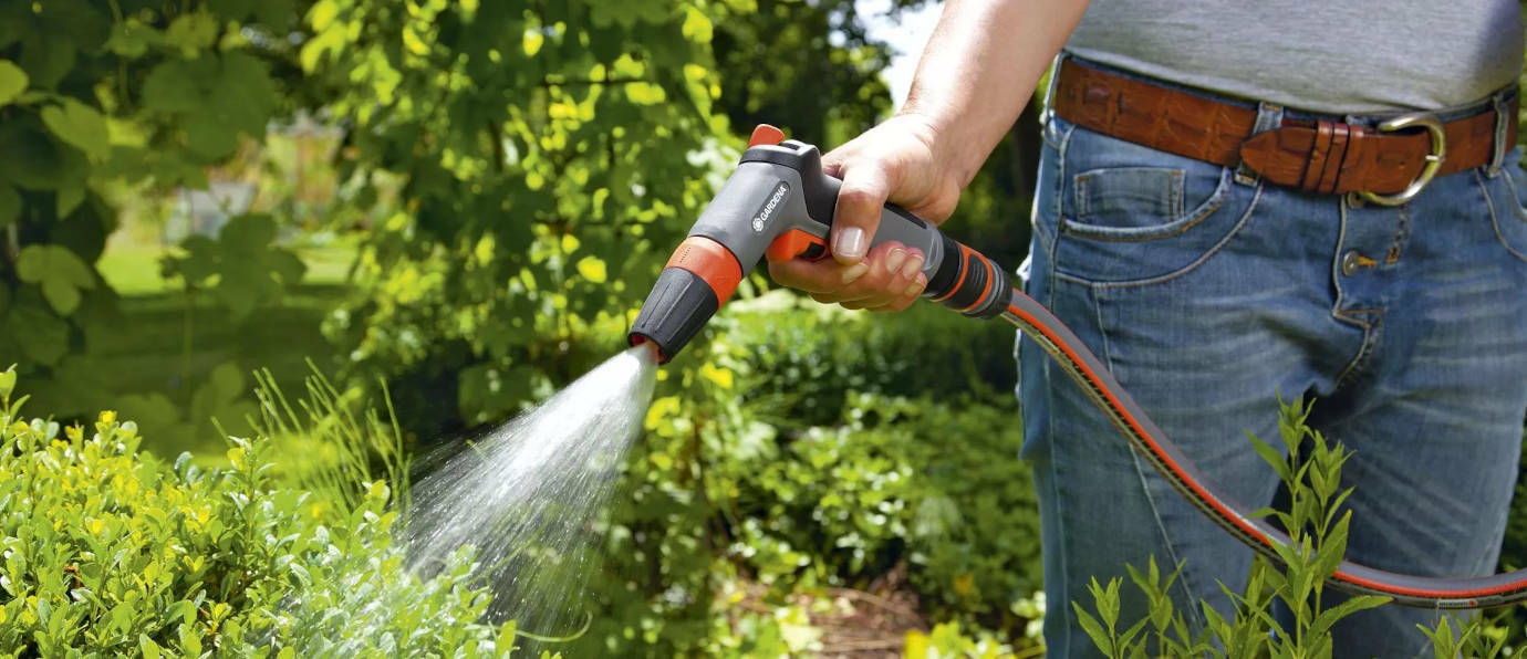 Watering the garden – how and when to water plants in the garden?