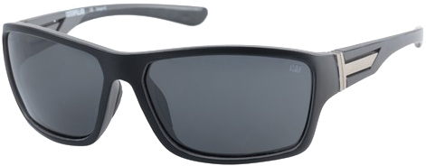 Sunglasses Caterpillar with gray frames