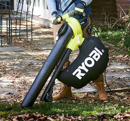 Dry leaves in the garden? Check what you can do with them!