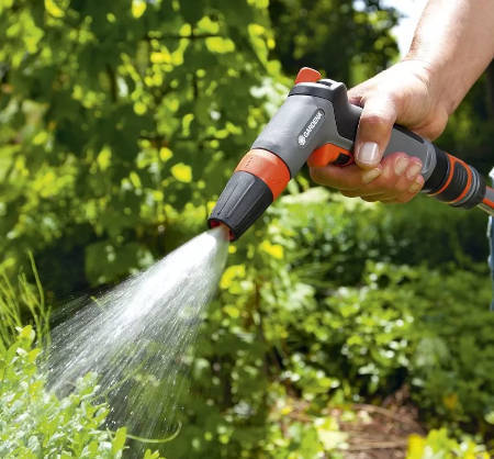 Watering the garden – how and when to water plants in the garden?