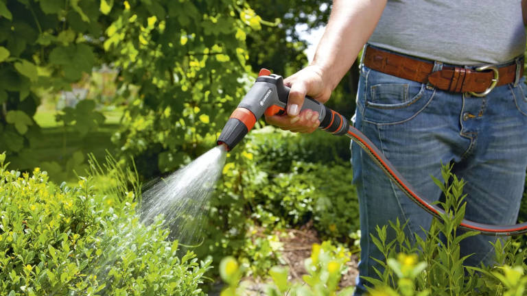 Watering the garden – how and when to water plants in the garden?